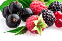 FLORIDA Fruit - Základ na rýchlu výrobu ovocnej zmrzliny, 2 kg